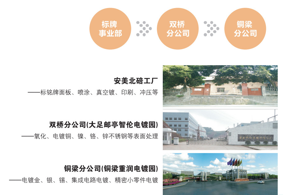 分j9九游的介绍
